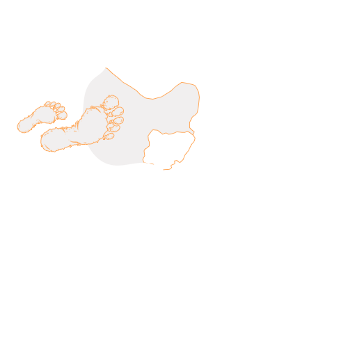 MFSG AFRIQUE